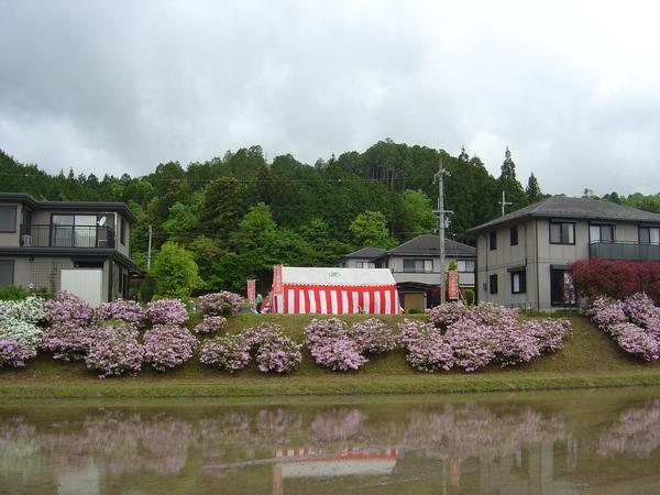 水が張られた田んぼの奥に写っている分譲中の「ハートピア北条団地」の土地と団地に建てられている住宅の写真